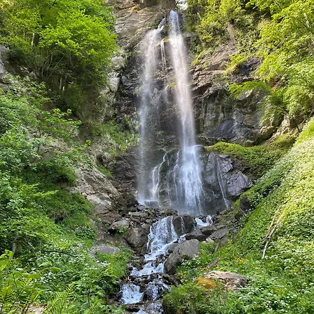 Marmorata Sattendorf