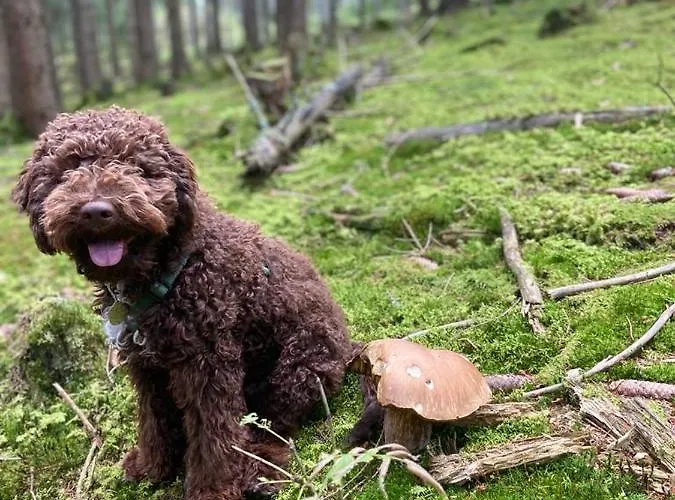 Apartamento Marmorata *